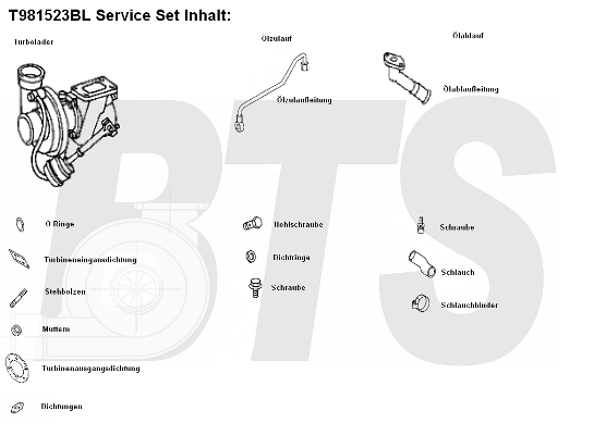 Compresor,sistem de supraalimentare T981523BL BTS Turbo